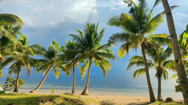 Découvrez la Lorraine: Un Week-end entre Trésors du Patrimoine et Évasion Naturelle